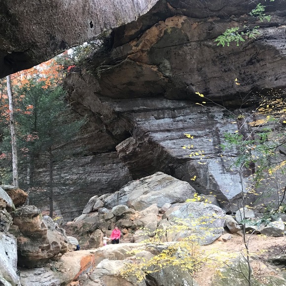 Meet your Posher, Terri - Picture 1 of 1